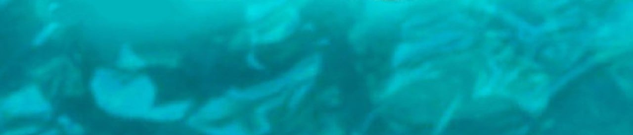 enchanted-prince-banner